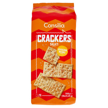 Consilia Cracker Salati in Superficie 16x31,25 g